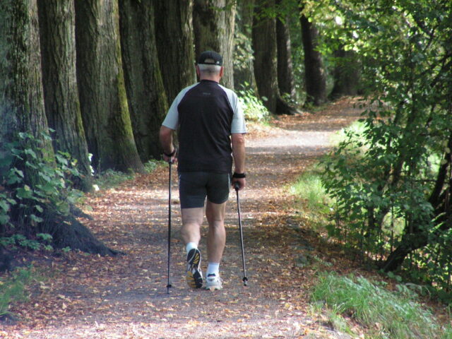 Nordic Walking Made Easy, The Number 1 Total Body Workout